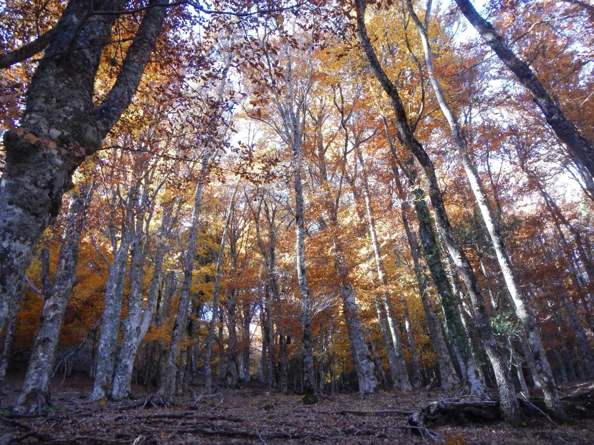 Alojamiento Rural Fuente Del Arca Prádena del Rincón Kültér fotó