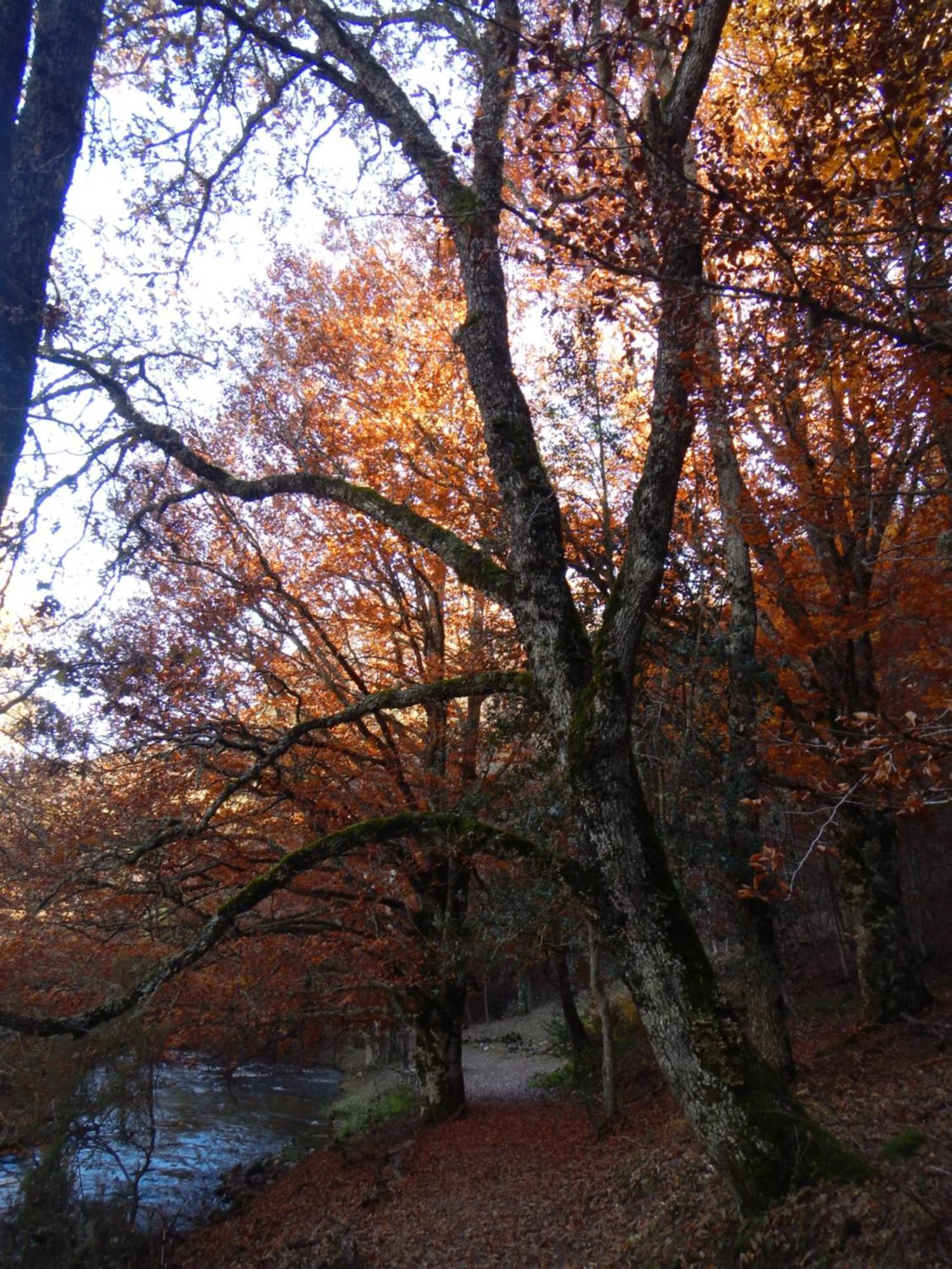 Alojamiento Rural Fuente Del Arca Prádena del Rincón Kültér fotó